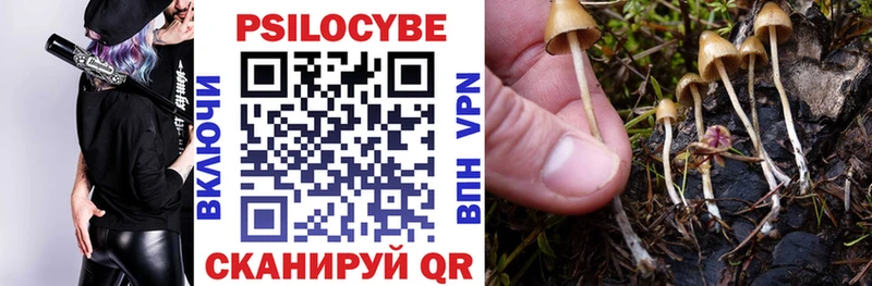 MEGA ONION  наркошоп  Саяногорск  Галлюциногенные грибы GOLDEN TEACHER 